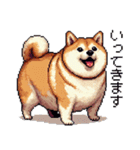 ドット絵 太っちょ柴犬 2 日常会話（個別スタンプ：15）