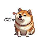 ドット絵 太っちょ柴犬 2 日常会話（個別スタンプ：16）