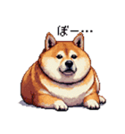 ドット絵 太っちょ柴犬 2 日常会話（個別スタンプ：17）