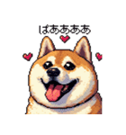 ドット絵 太っちょ柴犬 2 日常会話（個別スタンプ：18）