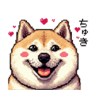 ドット絵 太っちょ柴犬 2 日常会話（個別スタンプ：19）