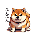 ドット絵 太っちょ柴犬 2 日常会話（個別スタンプ：22）