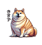 ドット絵 太っちょ柴犬 2 日常会話（個別スタンプ：23）