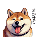 ドット絵 太っちょ柴犬 2 日常会話（個別スタンプ：25）