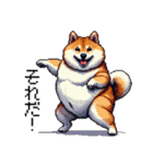 ドット絵 太っちょ柴犬 2 日常会話（個別スタンプ：28）