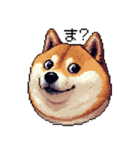 ドット絵 太っちょ柴犬 2 日常会話（個別スタンプ：31）