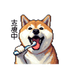 ドット絵 太っちょ柴犬 2 日常会話（個別スタンプ：33）