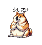 ドット絵 太っちょ柴犬 2 日常会話（個別スタンプ：35）