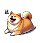 ドット絵 太っちょ柴犬 2 日常会話（個別スタンプ：37）