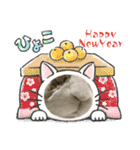 ロップイヤーのTiffanyくん〜NewYear編〜（個別スタンプ：7）