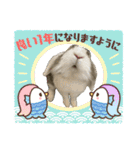 ロップイヤーのTiffanyくん〜NewYear編〜（個別スタンプ：10）