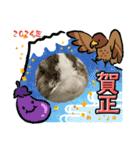 ロップイヤーのTiffanyくん〜NewYear編〜（個別スタンプ：11）