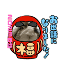 ロップイヤーのTiffanyくん〜NewYear編〜（個別スタンプ：13）