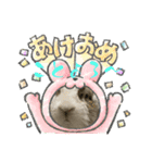 ロップイヤーのTiffanyくん〜NewYear編〜（個別スタンプ：16）