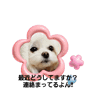 LUNA＆SEAだよ～連絡ちょうだい！！（個別スタンプ：1）