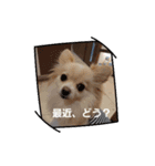 LUNA＆SEAだよ～連絡ちょうだい！！（個別スタンプ：2）