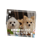 LUNA＆SEAだよ～連絡ちょうだい！！（個別スタンプ：3）