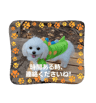 LUNA＆SEAだよ～連絡ちょうだい！！（個別スタンプ：5）