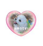 LUNA＆SEAだよ～連絡ちょうだい！！（個別スタンプ：6）