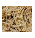 食品シリーズ : お母さんの料理 #76（個別スタンプ：1）