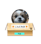 Hug ＆ Peace   はぐはぐ シーマルはぐたん（個別スタンプ：4）