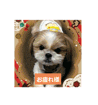 Hug ＆ Peace   はぐはぐ シーマルはぐたん（個別スタンプ：6）