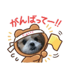 Hug ＆ Peace   はぐはぐ シーマルはぐたん（個別スタンプ：27）