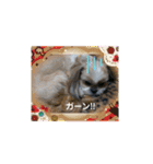 Hug ＆ Peace   はぐはぐ シーマルはぐたん（個別スタンプ：28）