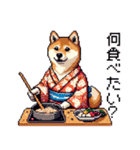 ドット絵 主婦な柴犬 着物 シバイヌ（個別スタンプ：12）