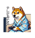 ドット絵 主婦な柴犬 着物 シバイヌ（個別スタンプ：16）