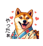 ドット絵 主婦な柴犬 着物 シバイヌ（個別スタンプ：17）