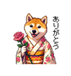 ドット絵 主婦な柴犬 着物 シバイヌ（個別スタンプ：19）