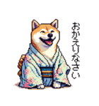 ドット絵 主婦な柴犬 着物 シバイヌ（個別スタンプ：35）