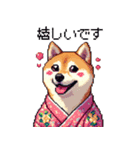 ドット絵 主婦な柴犬 着物 シバイヌ（個別スタンプ：39）