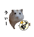 ハムスターのパッチー（個別スタンプ：4）