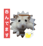 ハムスターのパッチー（個別スタンプ：6）