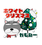 黒柴★クリスマス直前スペシャル（個別スタンプ：8）
