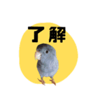 さくらとまめ（個別スタンプ：1）