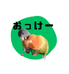 さくらとまめ（個別スタンプ：2）