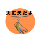 さくらとまめ（個別スタンプ：8）