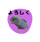 さくらとまめ（個別スタンプ：9）