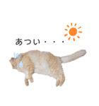 うちのねこスタンプ✱メルクロトララテ（個別スタンプ：9）