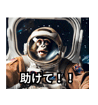 宇宙猿の日常2（個別スタンプ：13）