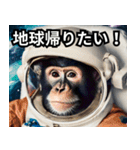 宇宙猿の日常2（個別スタンプ：31）