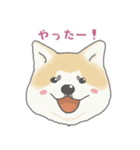 冬のあいさつ秋田犬あきたちゃん（個別スタンプ：12）