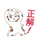 【よく使う編】猫だらけ with レモコ（個別スタンプ：9）