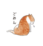 猫好きが反応するスタンプ4（個別スタンプ：11）