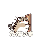 猫のスタンプ（ぽっちゃりマヌルネコ）（個別スタンプ：29）