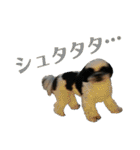 ワンぱく犬（個別スタンプ：16）