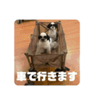 ワンぱく犬（個別スタンプ：18）